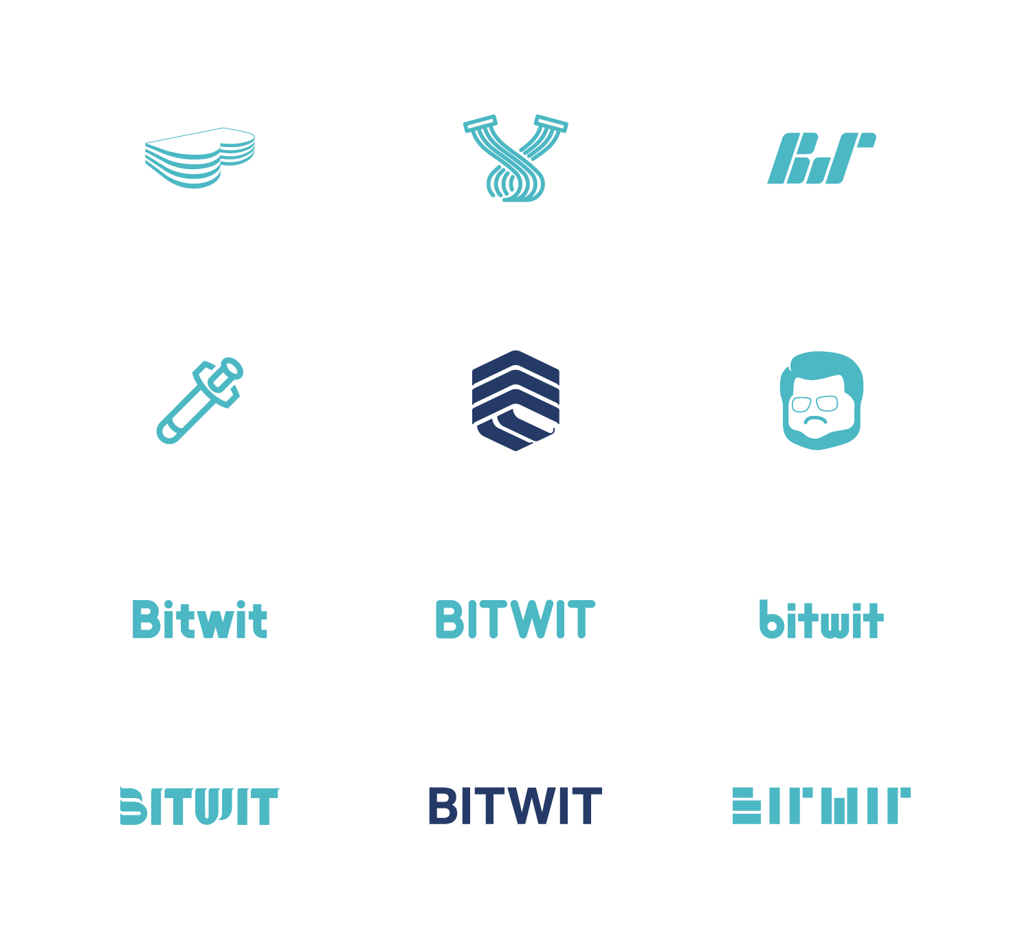 Various logos and logotypes designed for Bitwit.