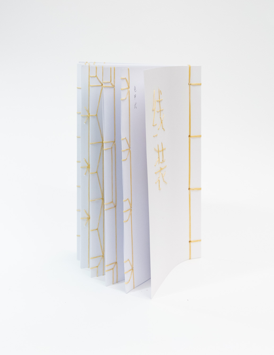 The inner pages of the String Bound book.